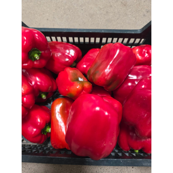 Papryka czerwona 1 kg 